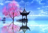 國際垃圾分類回收現狀
