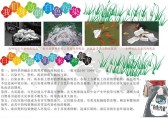 杜絕白色垃圾手抄報